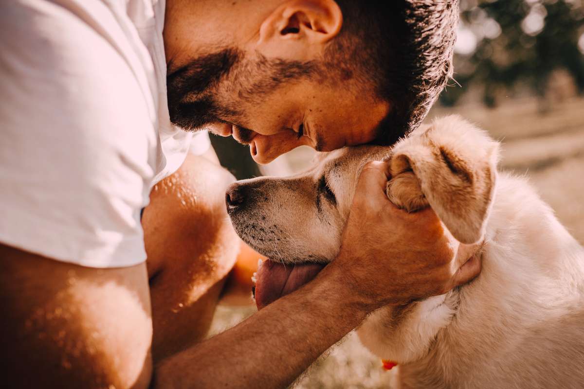 man holding dog's face and pressing his forehead to the dog's