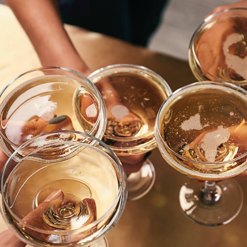 a group of people toasting their drinks.