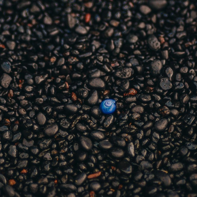 a black pebble beach with a single, bright blue stone in the center.